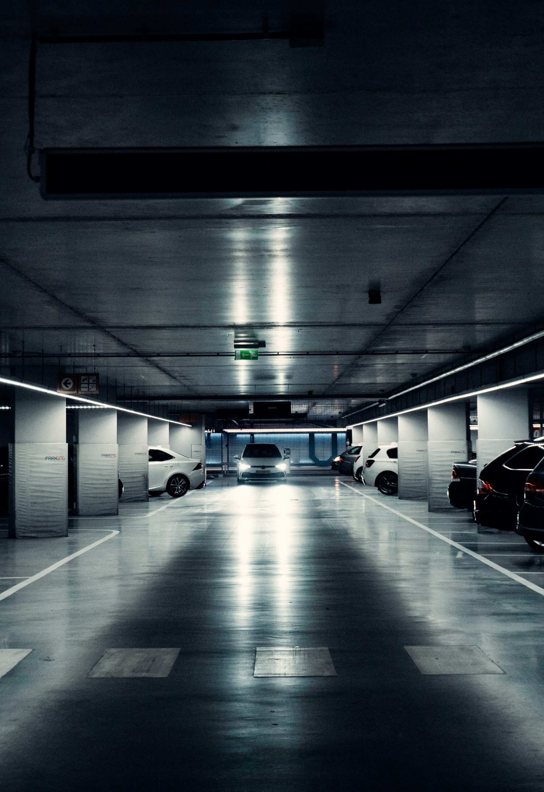 finn ijspeert 2dhopvx opm unsplash